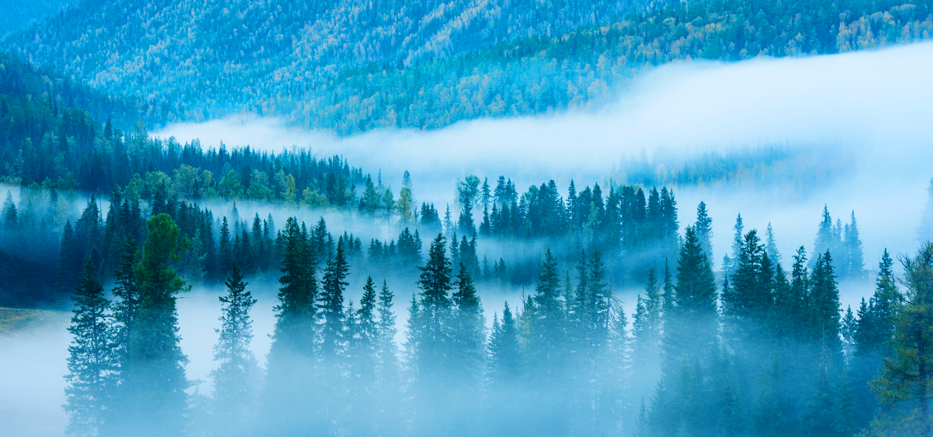 焦作市氟源環境工程有限公司